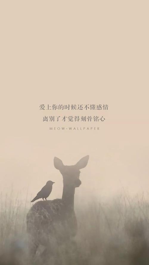 累的时候发个朋友圈的句子