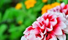 18句抖音上很现实的句子