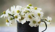 简短暖心话 十字以内