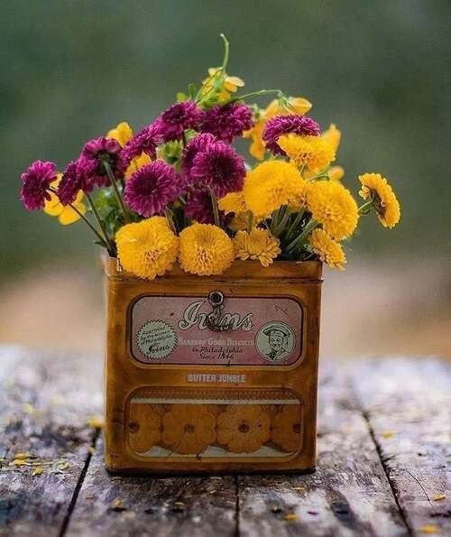 希望一切顺利的审美句子