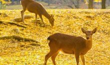 劝别人开心的幽默句子