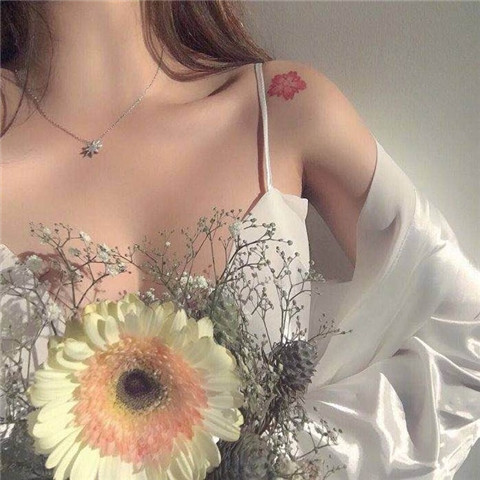 向喜欢的女孩坦白的句子