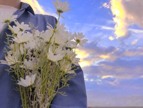 一目了然的文案,超柔和的童话般的句子