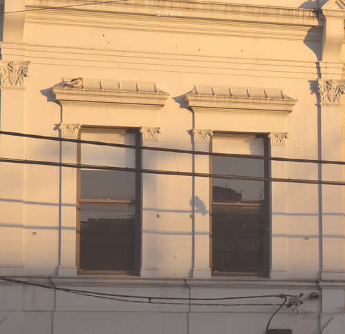 阅读使人感到舒服的句子1