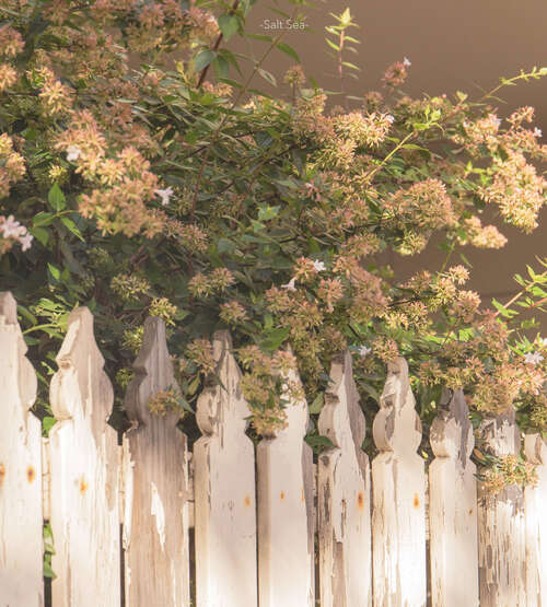 使人感到舒服的句子