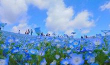 人生短暂要开心的句子