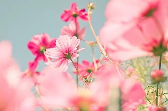 开始新的一天来鼓励自己1