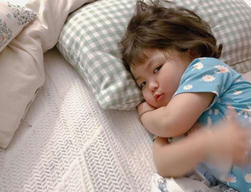 小仙女的独家皮衣句子，小仙女的头发，有趣的谈话