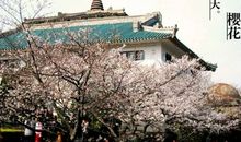 抖音超火的适合疫情结束后发的文案