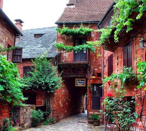 生活是幸福而有意义的句子1