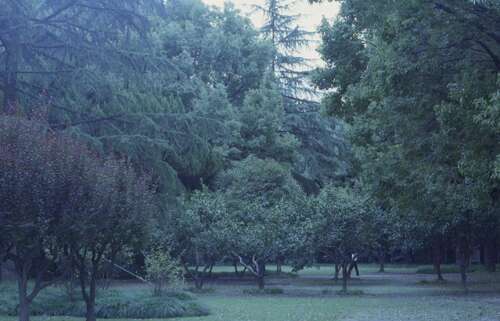 您的快乐句子纸牌2