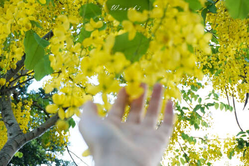 生活是美好的,激励着前进1