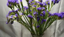 开心到疯啦的句子