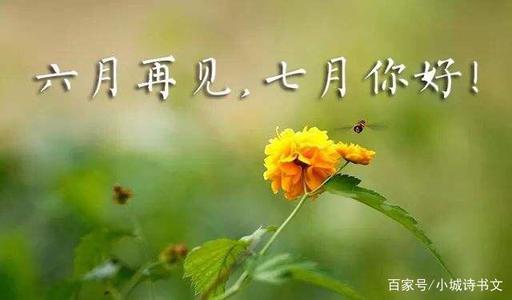 再见了六月和七月的“你好朋友圈”句子