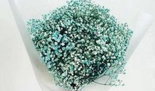 经典有气质 内涵的句子