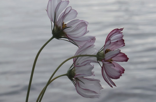 超级温柔的童话句子文案短句干净治愈1