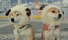 给朋友鼓励的句子