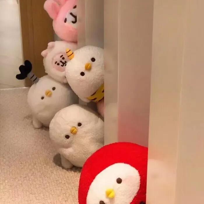 关于仇恨学校的搞笑句子1