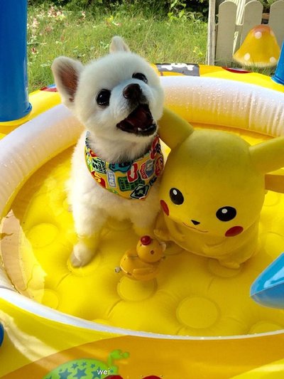 俗气的经典句子1