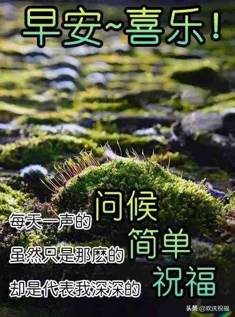 适合在周末朋友圈中发送句子