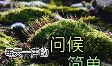 适合发周末朋友圈的句子