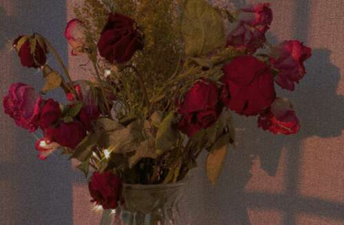 非常热烈的告白