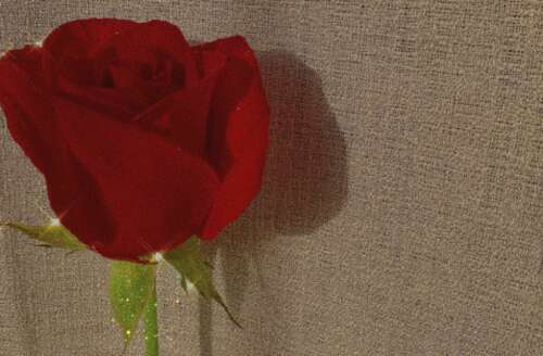 非常热烈的告白2