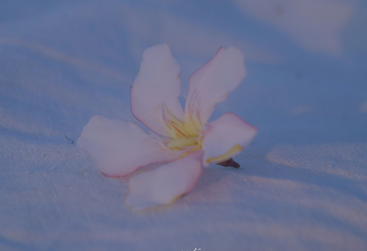 最令人心动的短句