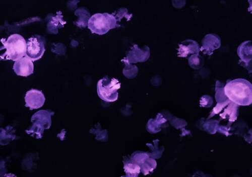 心情中最令人心动的短句2