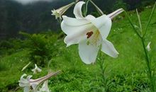 激发正能量语录短句