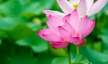 好段大全短一点