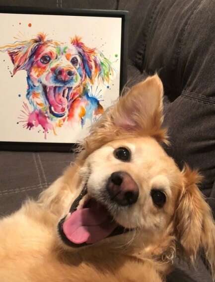 描述开心的句子