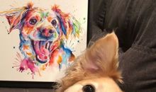 形容玩得开心的句子