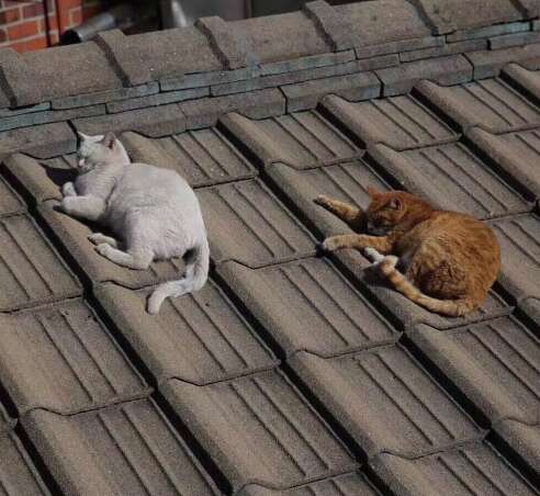 使人开心的句子