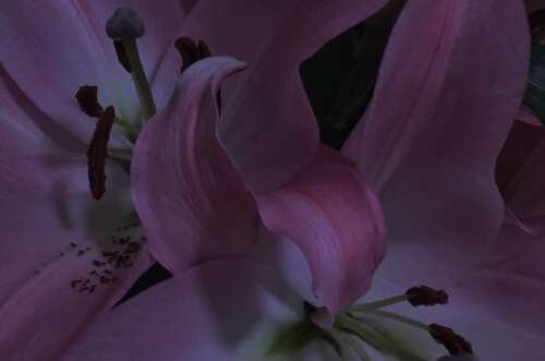 这个冬天有你的爱语