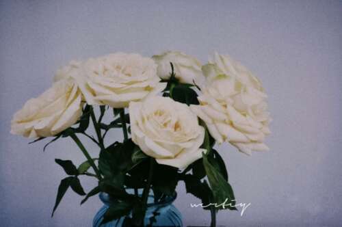 一生中最令人心动的短语爱语1