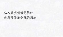 抒情的温馨句子