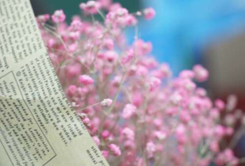 一生中最令人心动的爱情短句