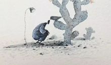 道家心静的句子