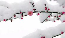 惊艳整个抖音的冬天文案