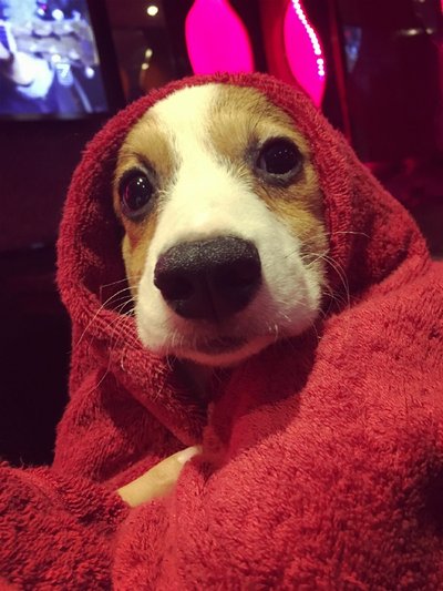 经典互联网报价1