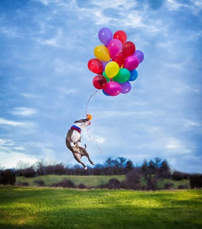 经典互联网报价