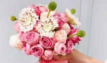 愿世界疫情早日结束的句子