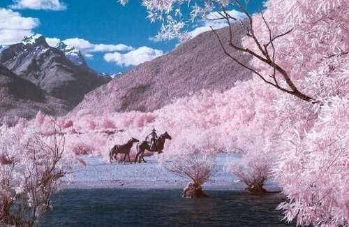 表达心情愉快的句子表达心情愉快的句子1