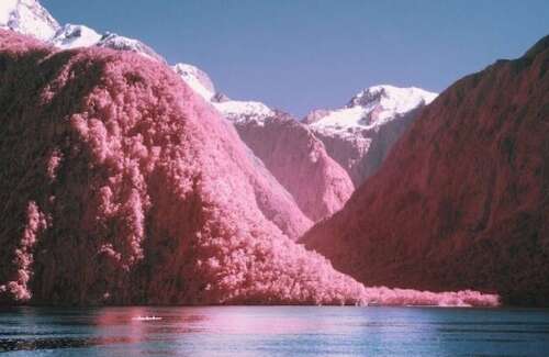 表达心情好的句子表达心情好的句子