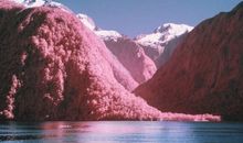 表示心情很开心的句子 心情很好的句子