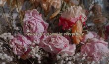 最能燃爆斗志的句子