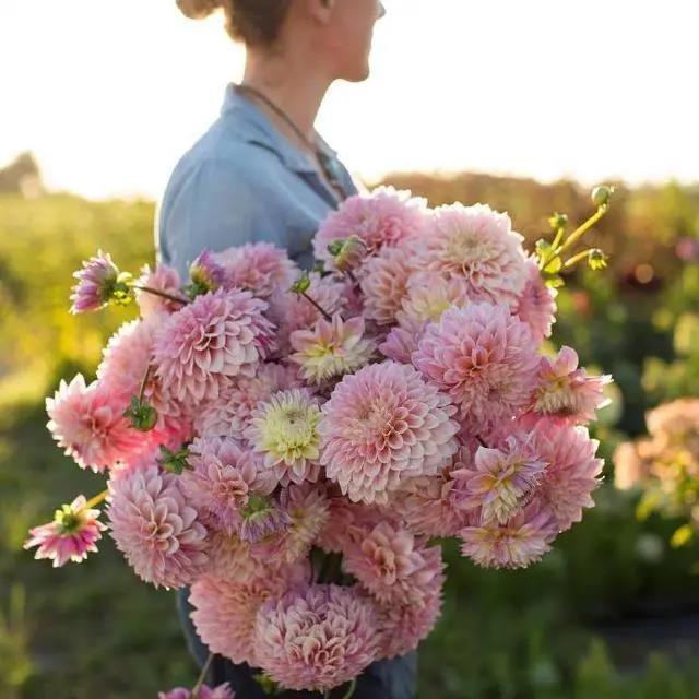 适合妈妈的心对心文案