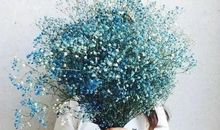 全职妈妈抖音最火句子