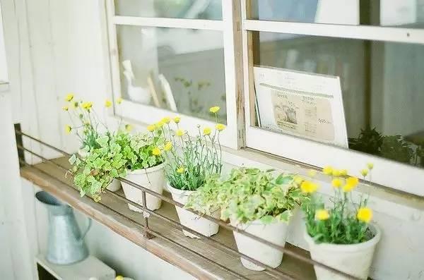 文学和肯定的句子